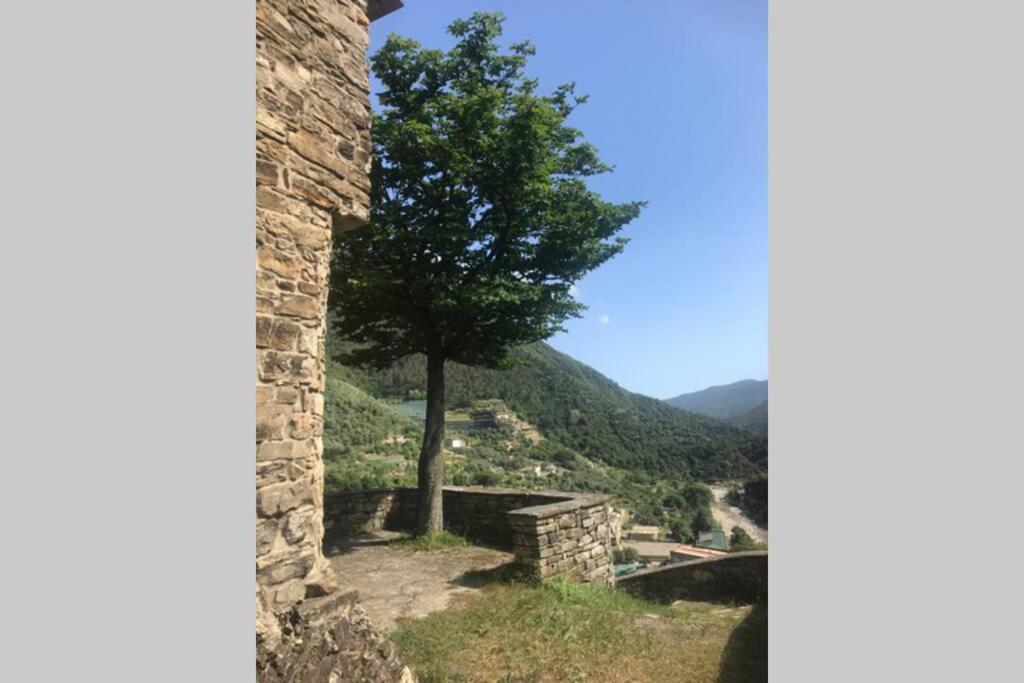 U Sportegu Da E Monti A Giaia *