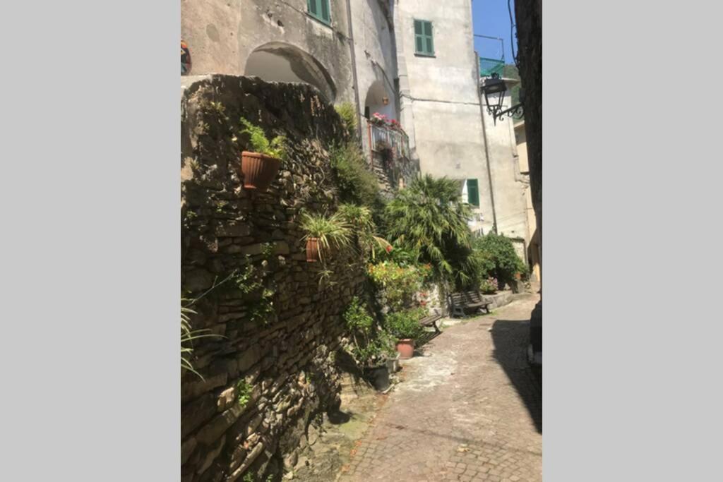 U Sportegu Da E Monti A Giaia